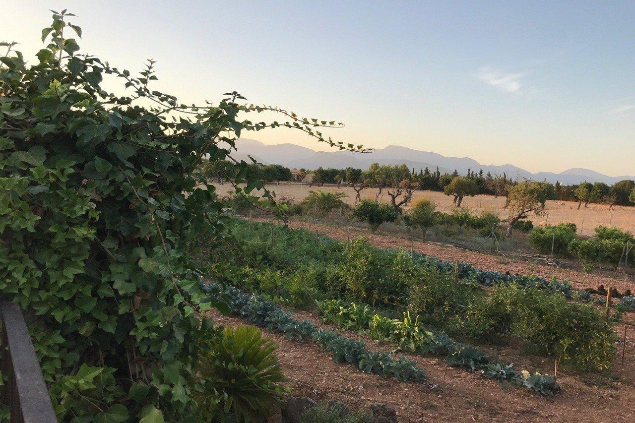 Agroturismo Es Quatre Cantons Binissalem Zewnętrze zdjęcie