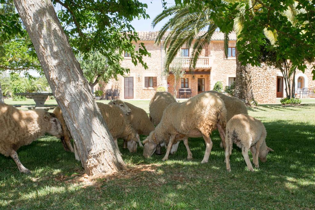 Agroturismo Es Quatre Cantons Binissalem Zewnętrze zdjęcie