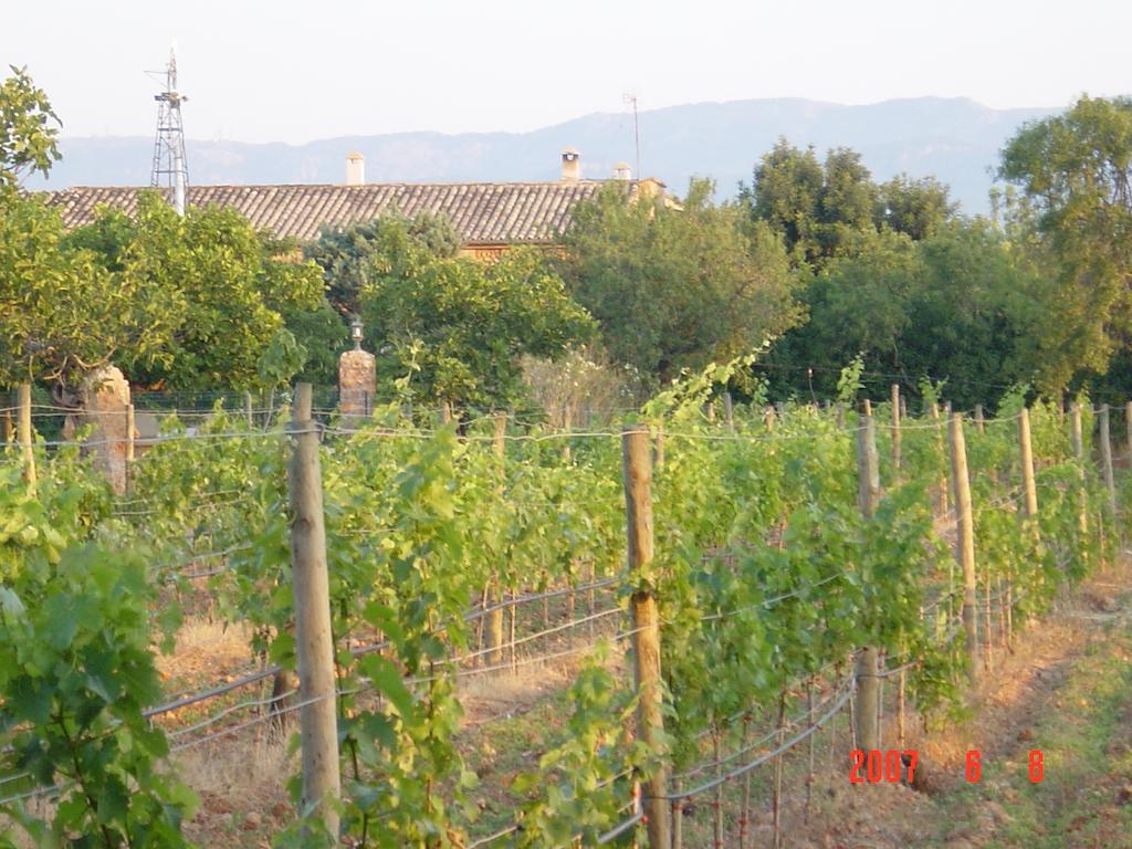 Agroturismo Es Quatre Cantons Binissalem Zewnętrze zdjęcie